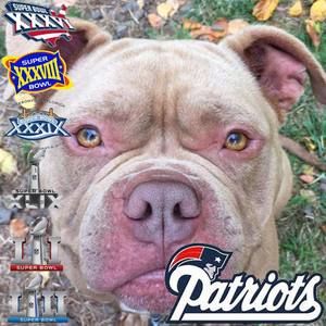 Meet your Posher, James